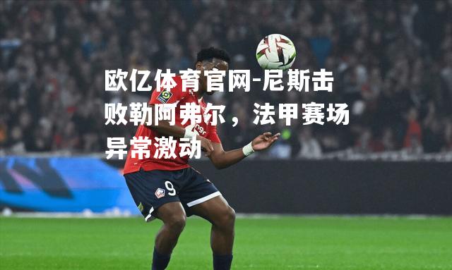 尼斯击败勒阿弗尔，法甲赛场异常激动